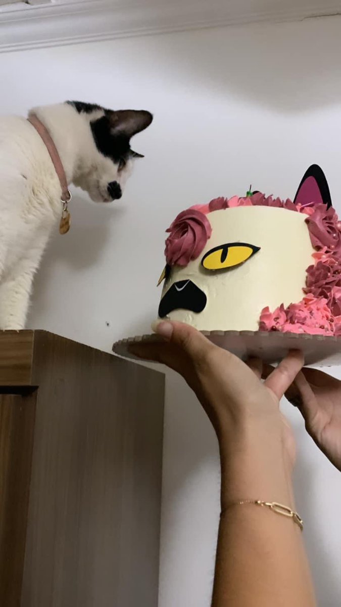 labigotess's tweet photo. #17Jun #gatos Miauu que les parece mi pastel ? se parece a mi ? https://t.co/MiX0rPiRLm