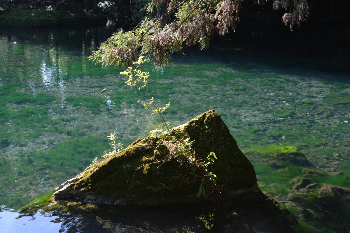 shinozacky666's tweet image. 先日下館のリサイクル屋で格安ゲットした最小最軽量高倍率レンズAF Zoom Nikkor ED 28-200mm F3.5-5.6G（IF）もテスト。手振れ補正はないけど良いね。全て撮って出し。今日はPENTAXはお休み
#カメラ散歩おじさん
#D7100
#NIKON