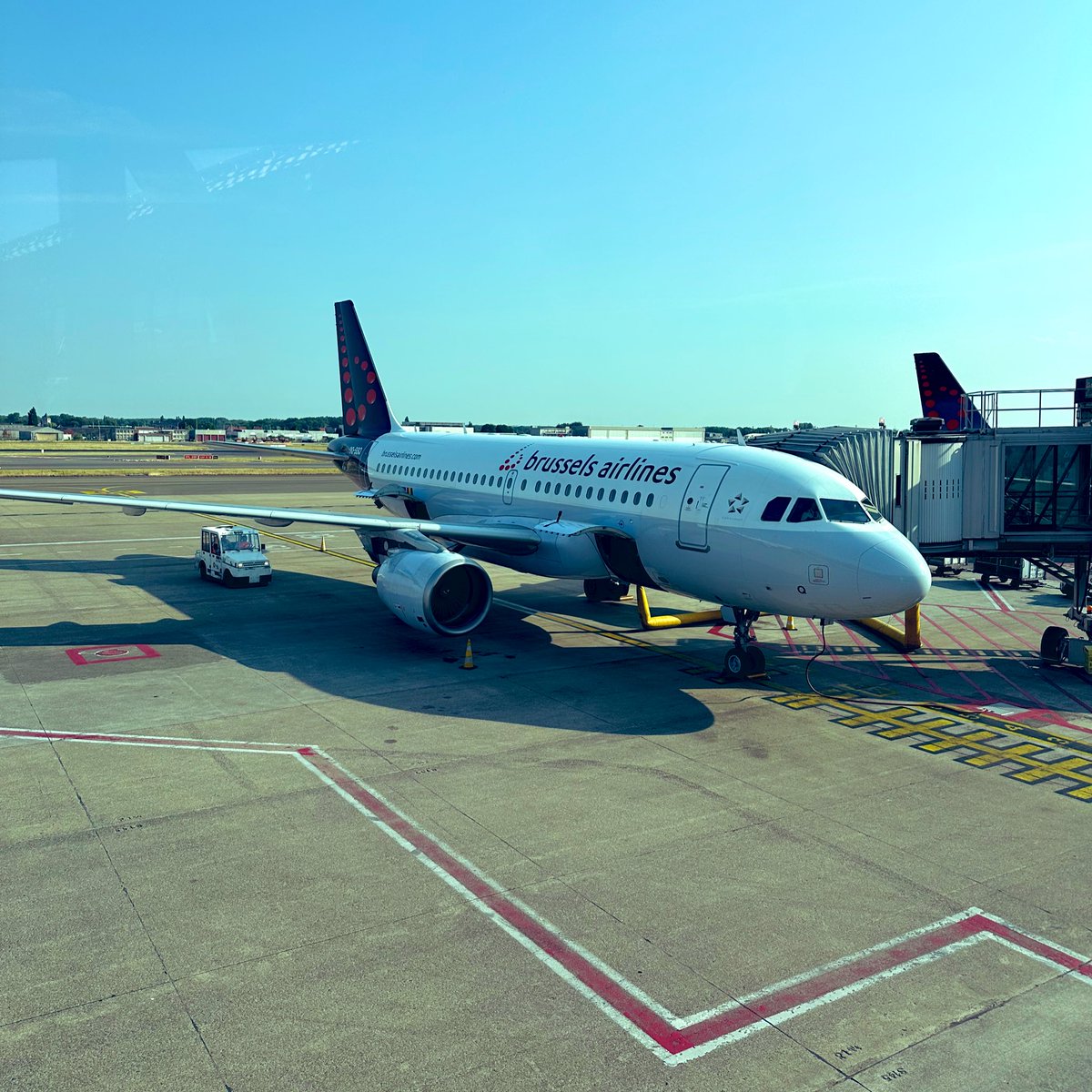 Tom Vandenbulcke tweet media