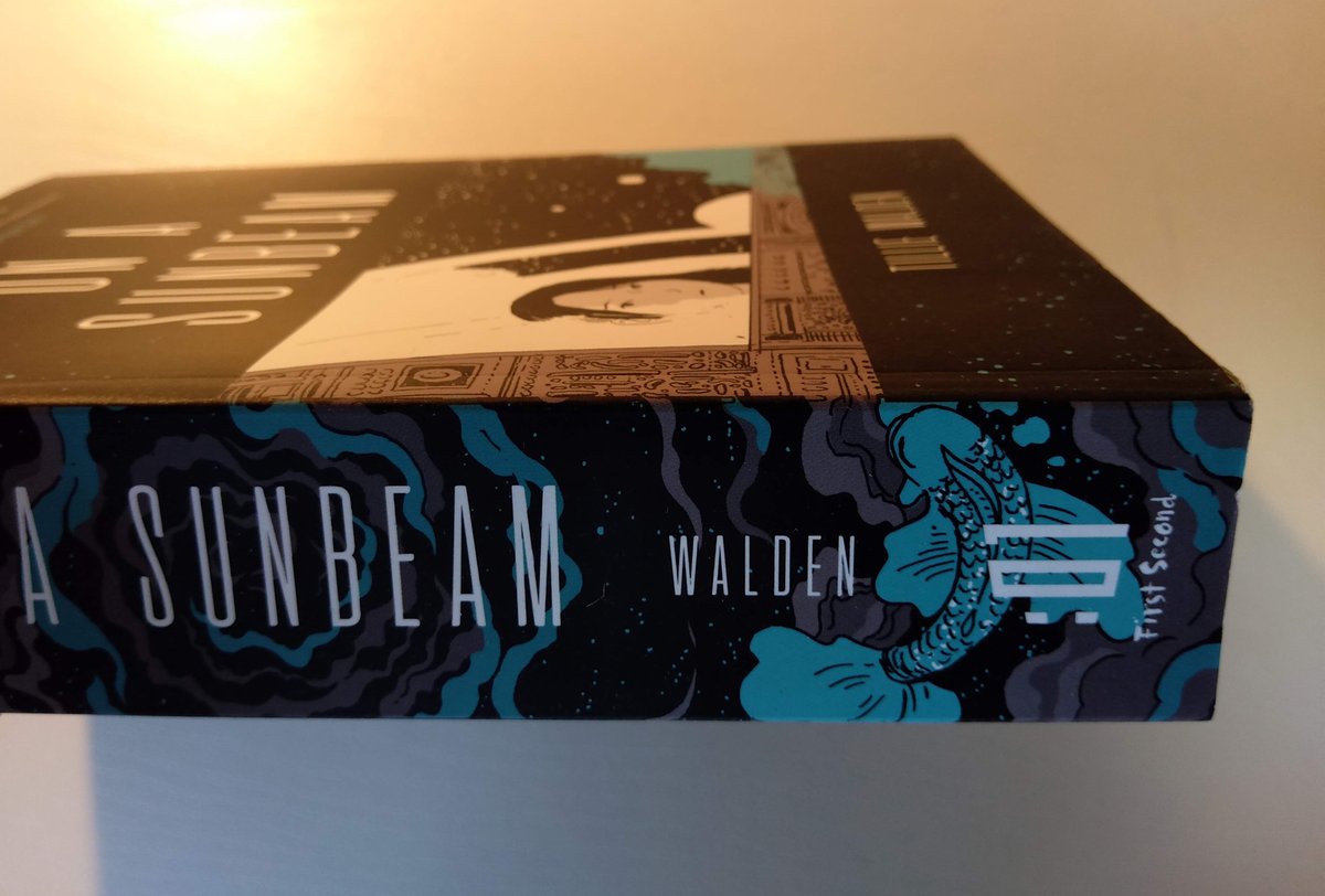 ティリー・ウォルデンの「On a Sunbeam」が届いたのですが、分厚さにびっくりした。 