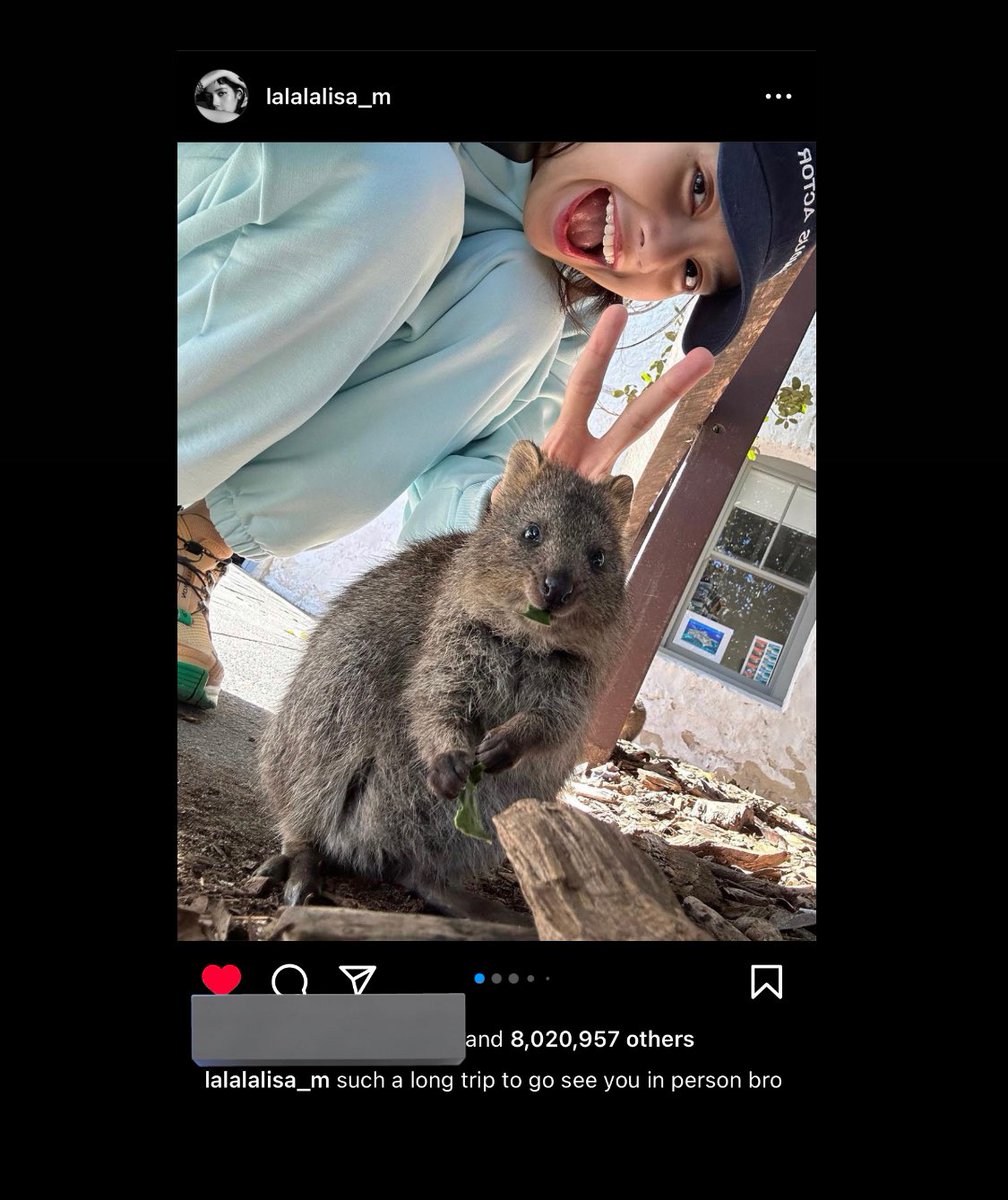 Quokka’s #LALISA Selfie Reaches 8M Likes on @instagram. 

*Top 3 Most liked Quokka Selfie on IG:

#1 #LISA (8M++)
#2 Shawn Mendes (7.6M) 
#3 Chris Hemsworth (4.1M)

#블랙핑크리사 블랙핑크 리사 
#LALISA #MONEY #SHOONG