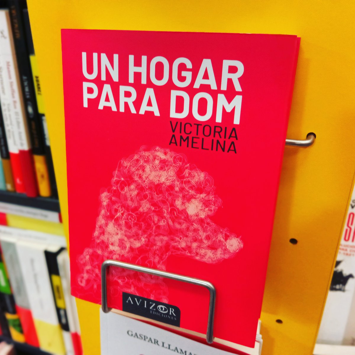#166 "Tu hogar está donde están tus huellas"

Victoria Amelina, Avizor

📚librerialapilarica.com/libro/un-hogar…