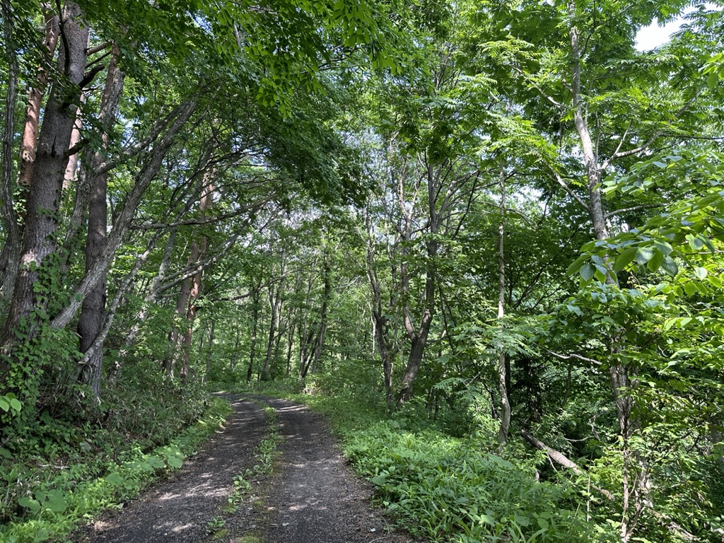 まきのじ on Twitter