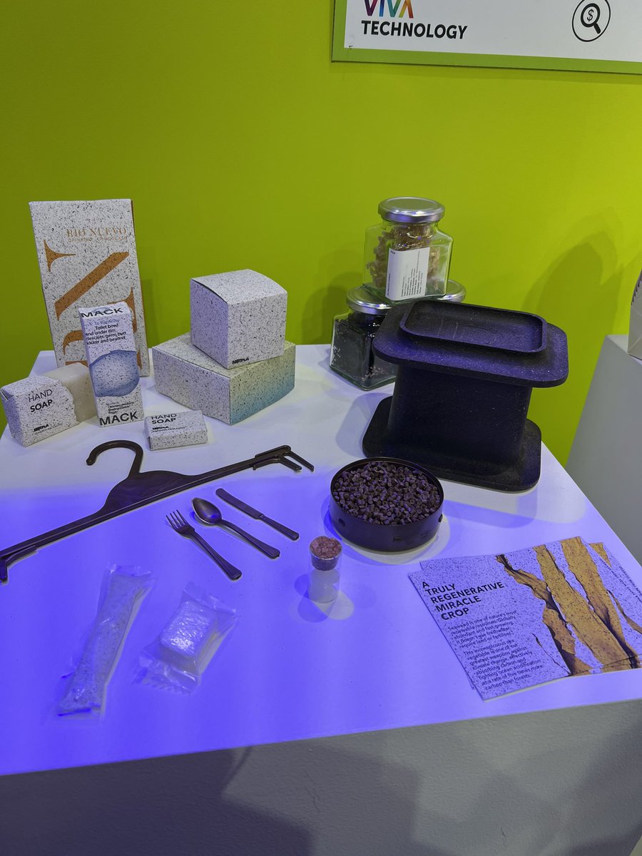 Mallys  tweet media