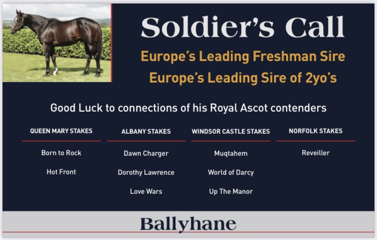 Ballyhane Stud tweet media