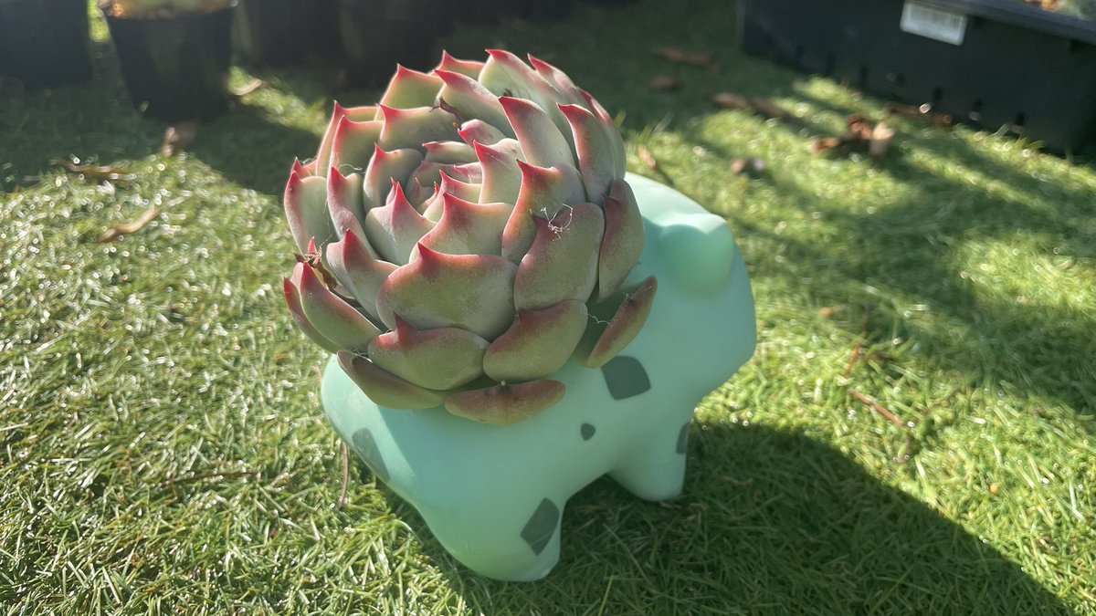 らむりん W/ 鬼切丸 tweet media