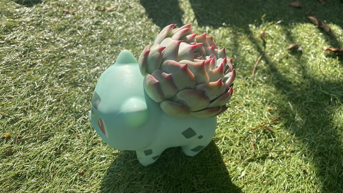 らむりん W/ 鬼切丸 tweet media