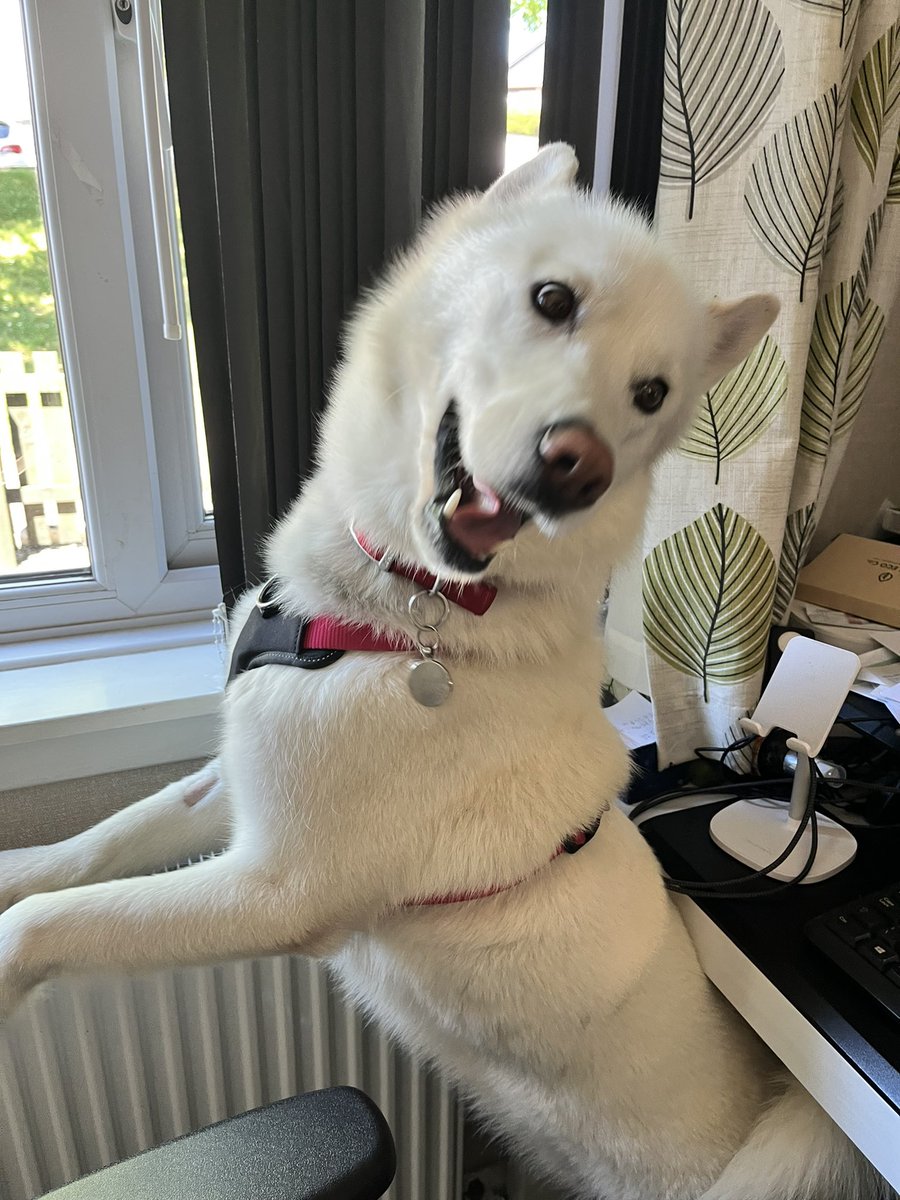 Donna Burwell tweet media