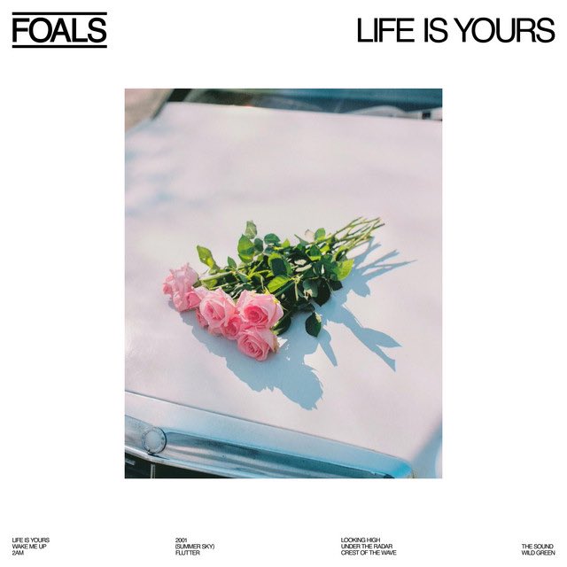 Foals Worldwide tweet media