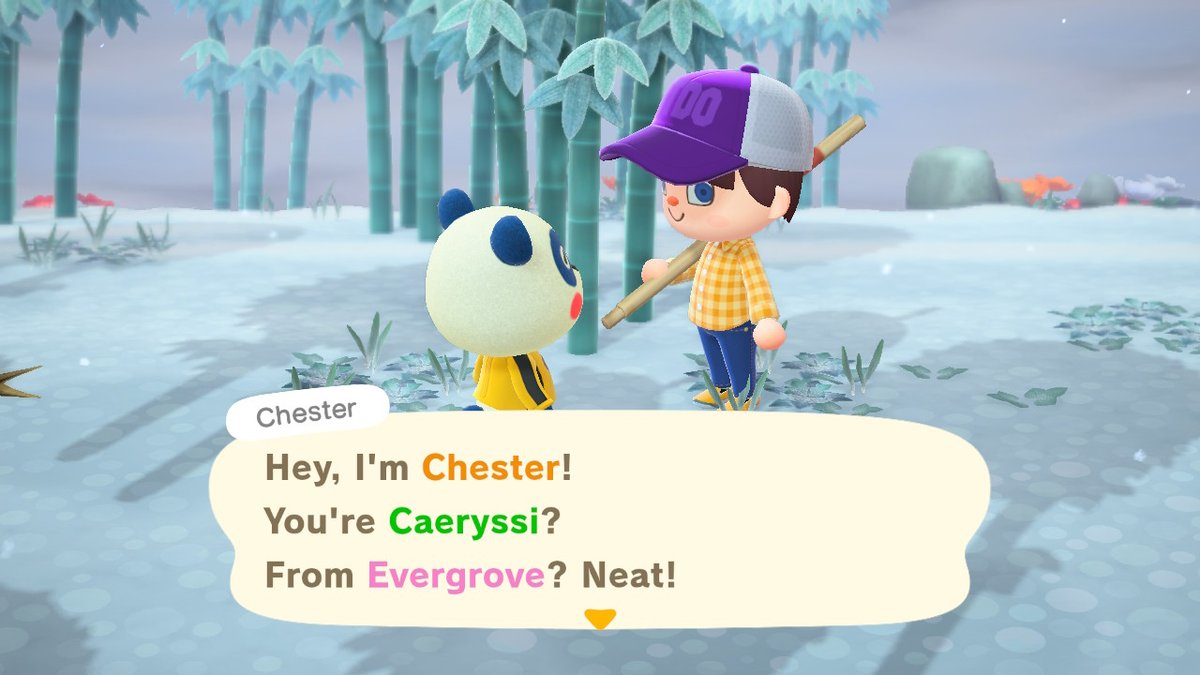 caeryssi's tweet photo. I actually found my dreamie, Chester on a hunt in 5 tickets #AnimalCrossing #ACNH #NintendoSwitch https://t.co/eIkjRABuw9