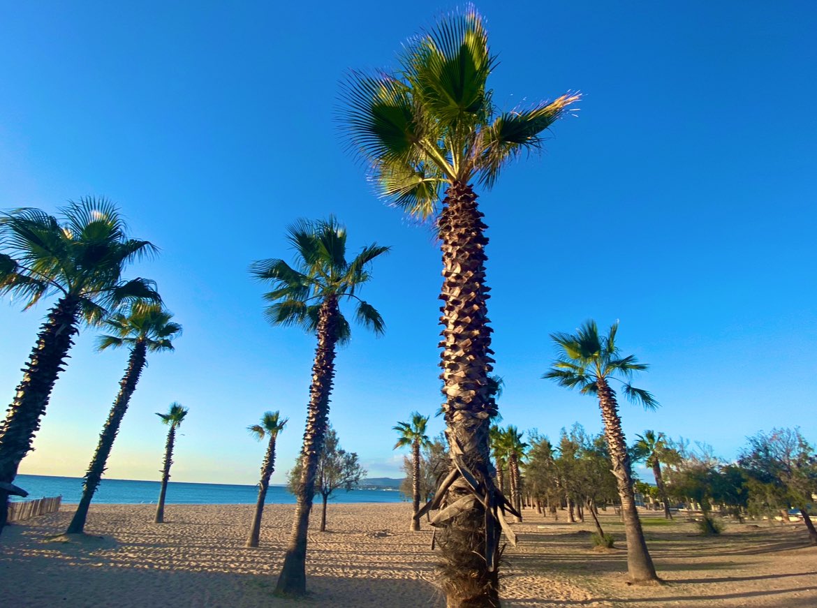 Bonjour de #Frejus 💙
Le week-end commence sous le signe du bleu et de la douceur !
#frejustourisme #CotedAzurFrance #goodmorning #bonjour #frenchriviera #weekend #beachvibes #douceur #shareyourblue #onatousbesoindusud #lavieenbleu #baladesympa