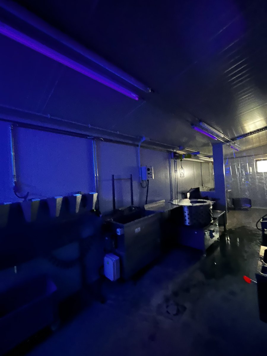 MobilSlaughter's tweet image. Another #rural #chicken farmer who will soon be slaughtering his products at the #farm itself...offering #proximity, #quality and #traceability to his #customers, inquire at comercial@fabretall.com #rural # poultry #breeding #fabretall #fabretallgroup #abattoirs #slaughterhouse