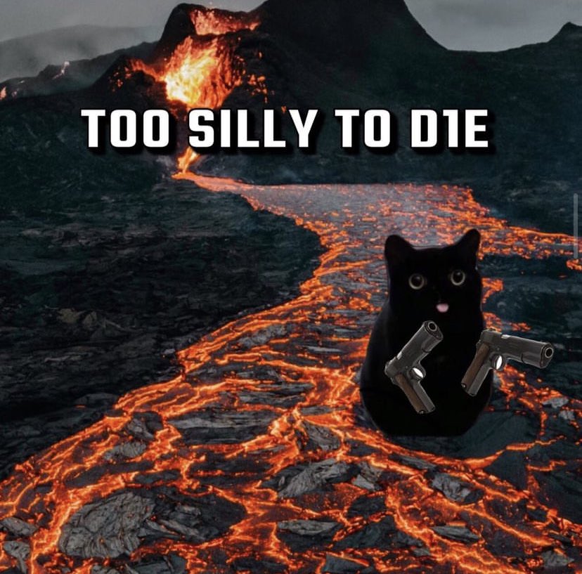 RedThaneLaurels's tweet photo. Cats With Hardhats on IG is one of the big reasons i keep that platform on my phone. https://t.co/naBBkzriQp