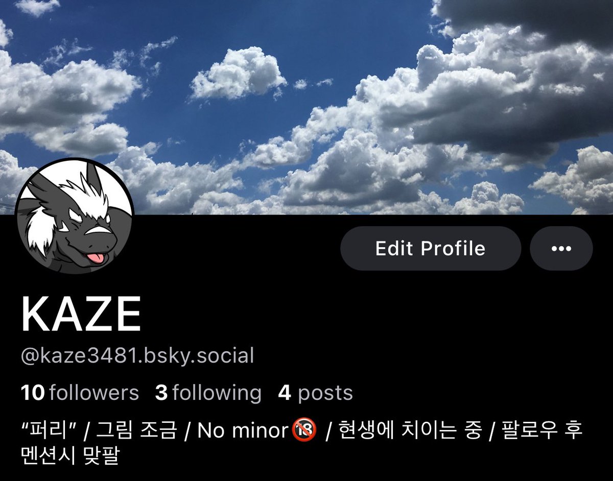 KAZE aka GRAUCKEN tweet media