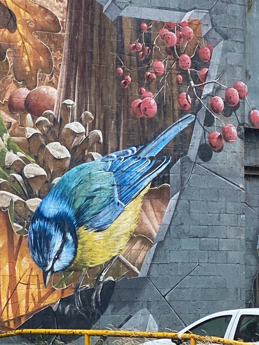 Jibunnessa's tweet image. DAY 1 - 11 pm BST
@DiabetesUK #MillionStepsChallenge 

17,216 steps #today

step.diabetes.org.uk/fundraising/ji…
Thanks for your donations 🙏

@_DigitalMuseum @glasgow_sugar @PadraigBelton @BasuAshis @TheRaniaHafez @betty_de_brazil @nidhalaigh @palashdave @HearaichHerald