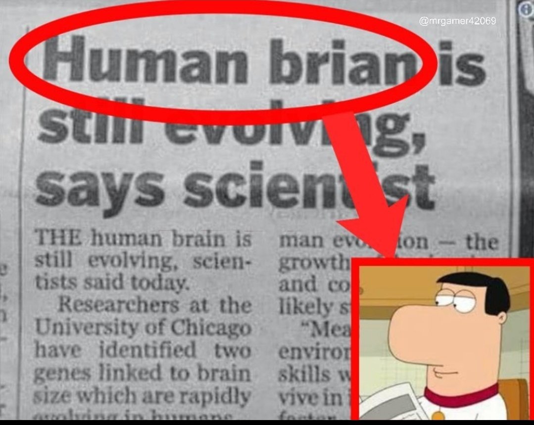 Name Soundalikes (@namesoun) on Twitter photo 