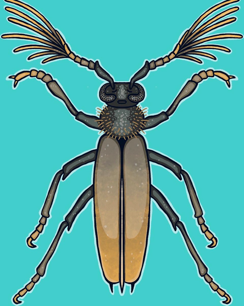 whimcomic's tweet photo. Longhorn beetle 

#drawing #procreate https://t.co/8tqAwCfwIT