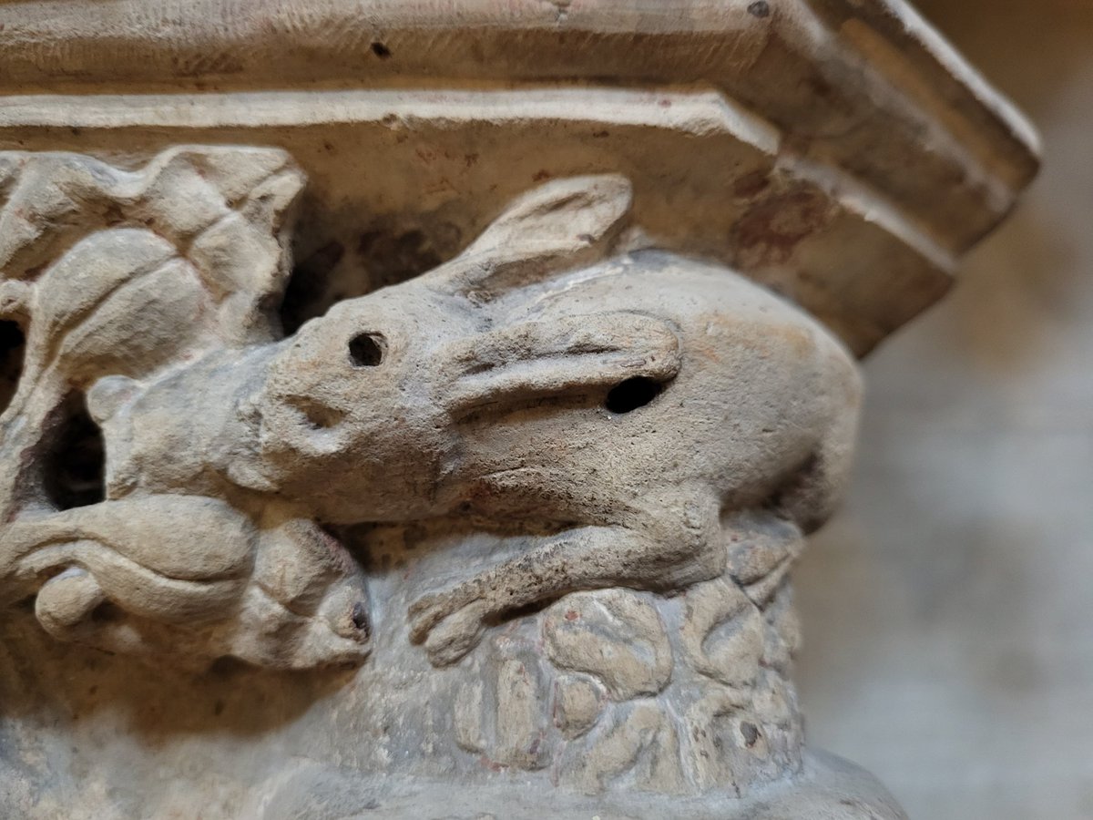 Embla Aae tweet media