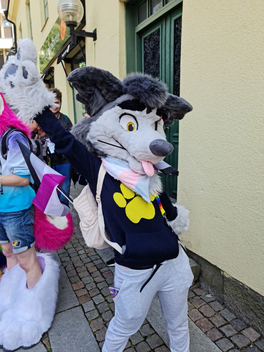 Arrackwolf's tweet photo. We hade such a fun time at the prideparad today. So many friends, great whether and good food.
@RRainbowtail @PhoebeWallaby @CarielTheWolf

#furry #furryfandom #FursuitEveryday #fursuit #fursuiting #fursuiter #Pride2023 #PrideMonth #PrideParade https://t.co/6Xz0y6UTI4