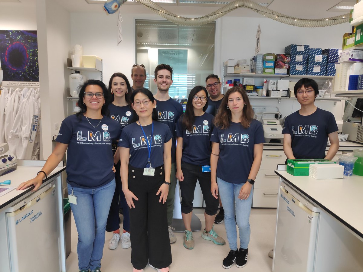 Ana_CFF's tweet image. McKenzie lab at the #LMBOpenDay