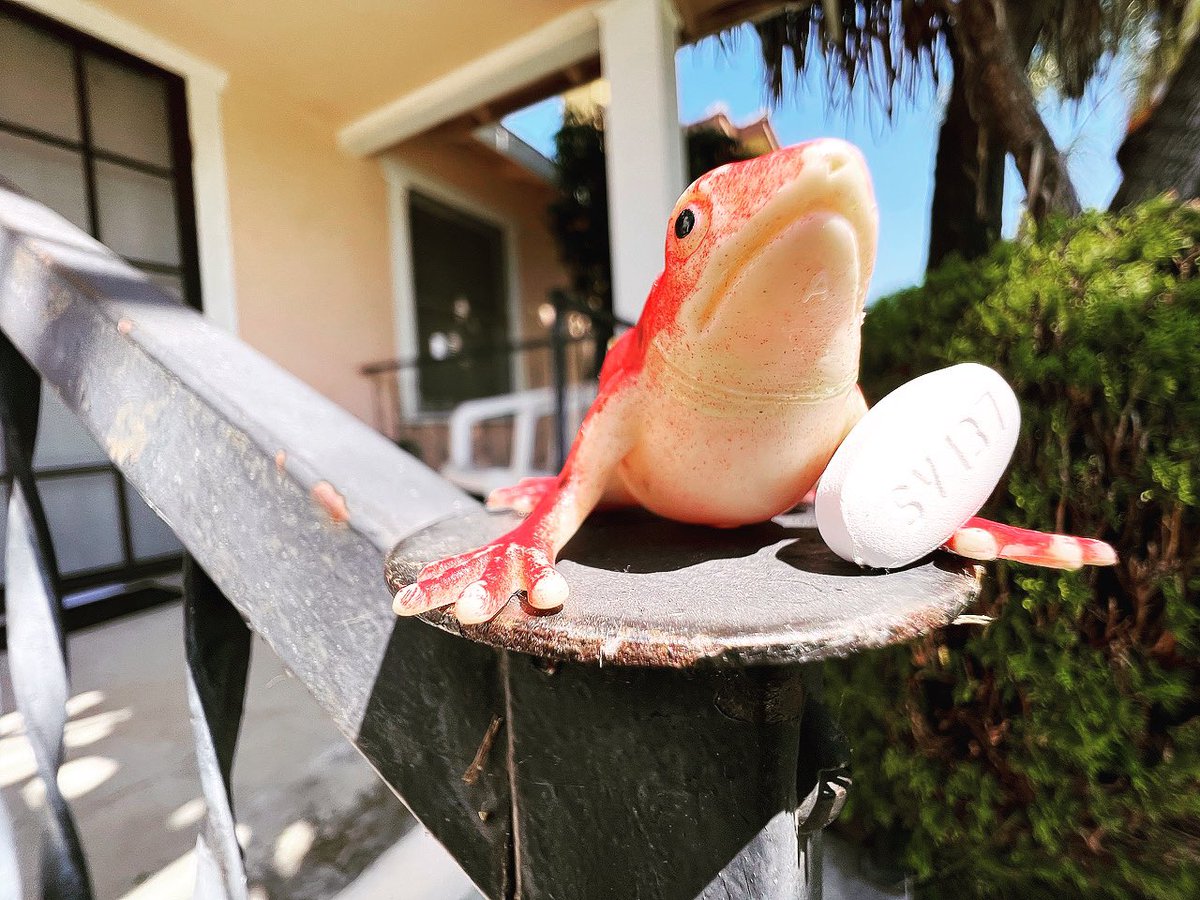 RickGuasco's tweet photo. On a bright, sunny Saturday morning, taking my #HIV medication.
.
#HIVpositive #AIDS #longtermsurvivor #normalizeHIV #photooftheday #adherencetoad https://t.co/VAvITkx9eq