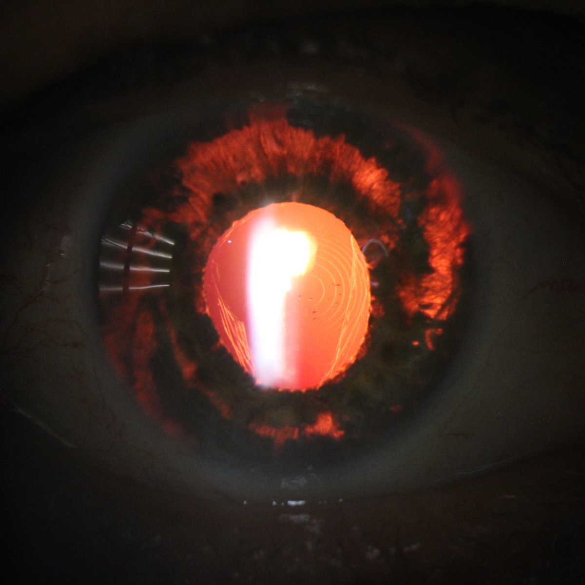 Dr. Martín Barrios-Fernández MD, MSc 👁 tweet media