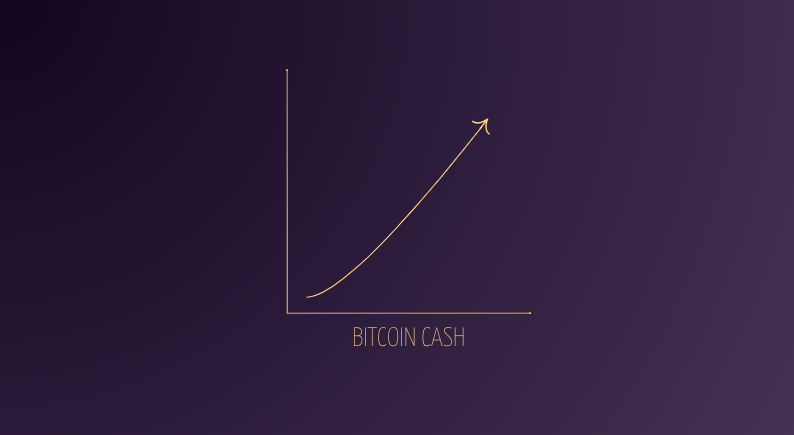 Nde_eth's tweet photo. While everyone's eyes are fixed on Bitcoin 👀

Another Bitcoin is quietly performing under the radar...

+160% in one month 📈

BITCOIN CASH $BCH

WHY ?   THREAD 👇 https://t.co/U5ZKFTVZRd