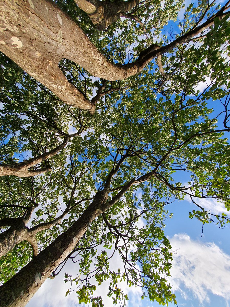 Brigid Russell tweet media