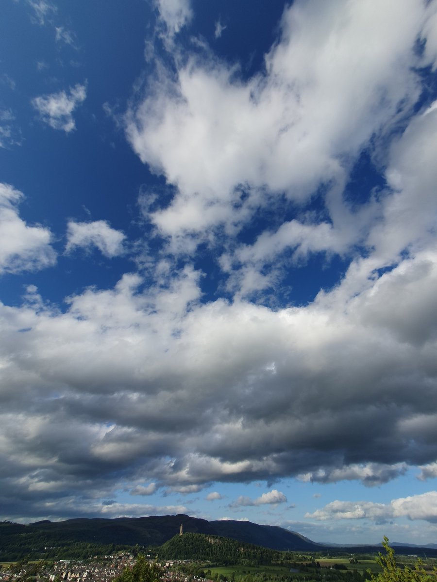 Brigid Russell tweet media