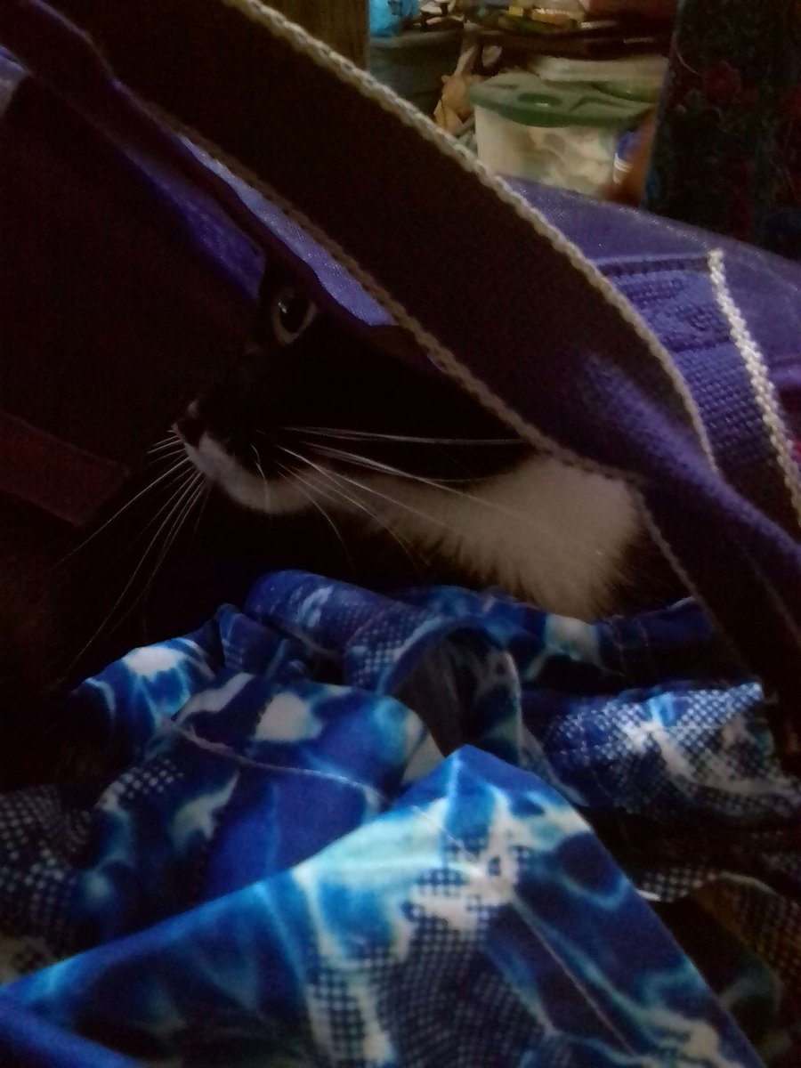 TechBlade9000 tweet media