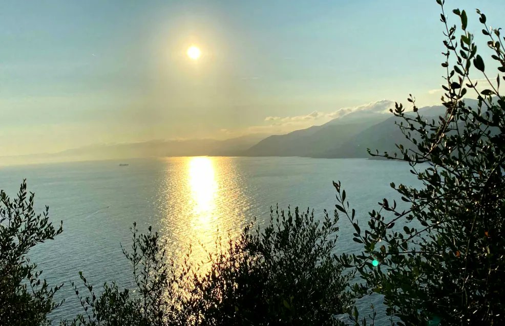 #Tramonti dal #MontediPortofino
#liguriapreziosa 
#lamialiguria 
#beactiveliguria 
#turismoinliguria 
#golfoparadiso 
#camogli 
#sanroccodicamogli 
#parcoportofino