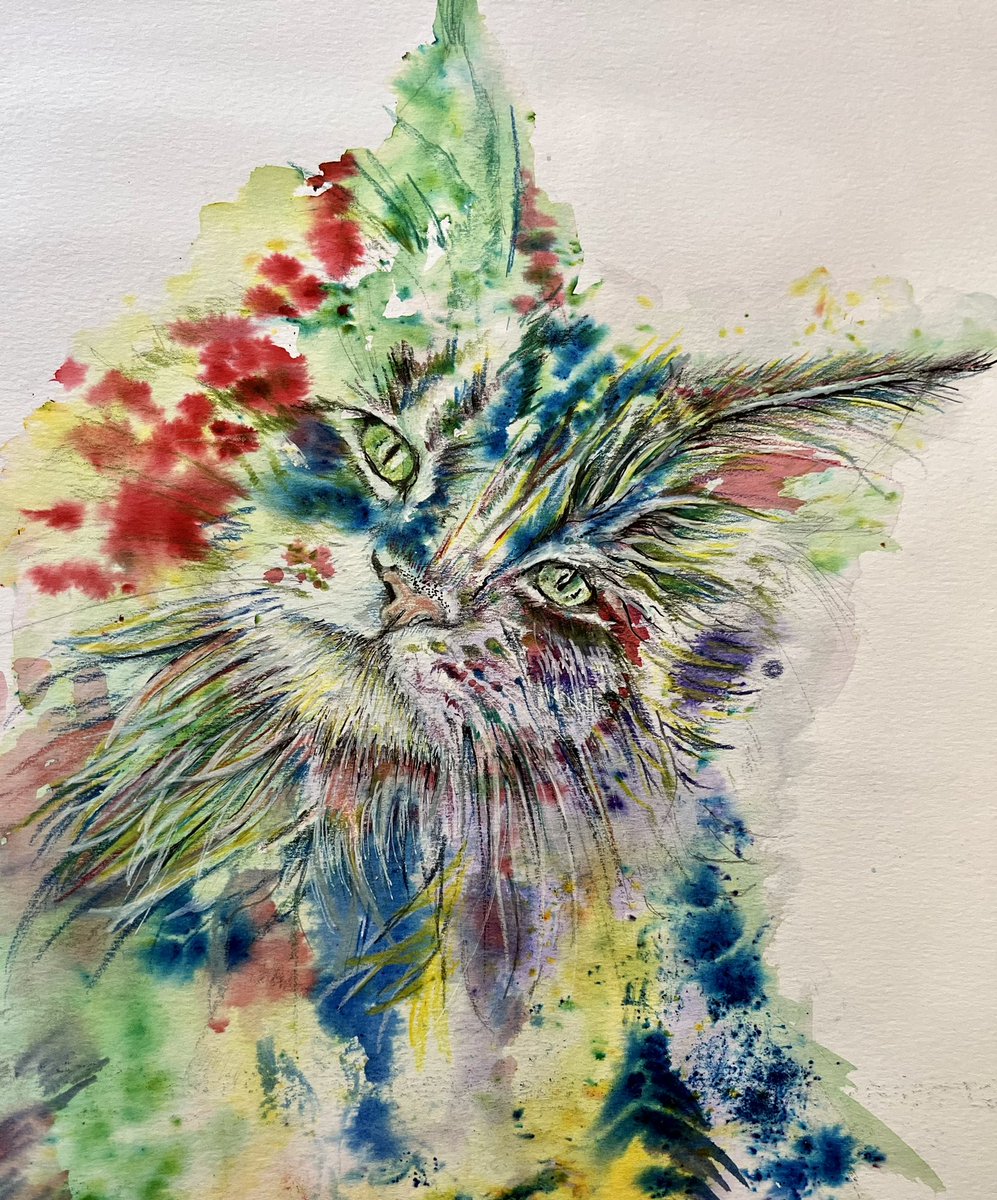 PamWeeden's tweet photo. Avery. A work in progress. The gentle side of of our fierce warrior girl cat. Much loved. #CatsAreFamily @JacksonGalaxy #catsofinstagram #ArtistOnTwitter #RescueCats https://t.co/LqoySBWWys