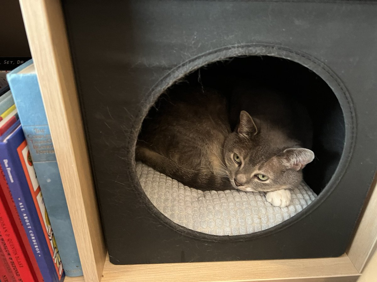 ashleyyy 🖕 tweet media