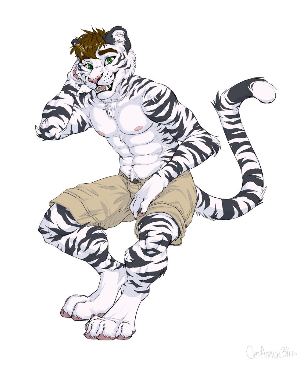 CatAttack311's tweet photo. Colored version of a refined sketch commission for davidtigerific (on FA)! https://t.co/axD2aDKTre