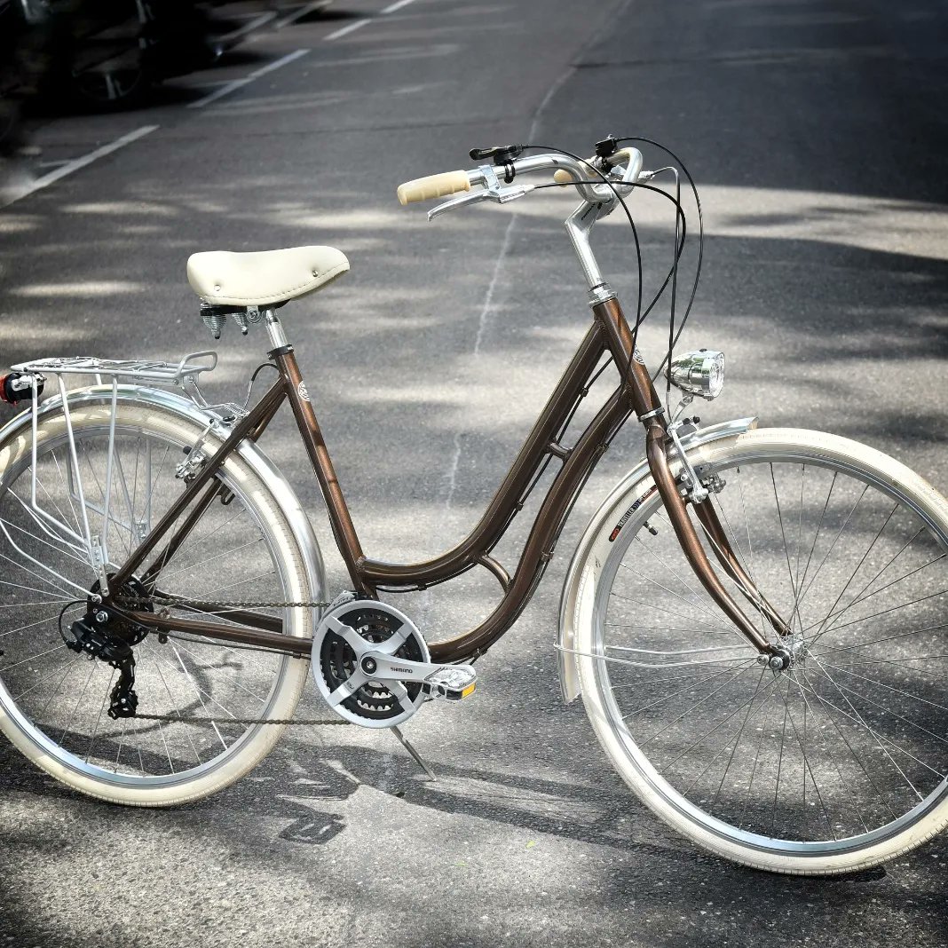 Assembling in Österreich! Aluminium Schwanenhals 53 cm RH, Radstand 116 cm, 18 Gang, Geeignet von 165 bis 195+ cm Körpergröße! Nur 599 Euro!

#fahrrad #glanzrad #radfahren #regionaleprodukte