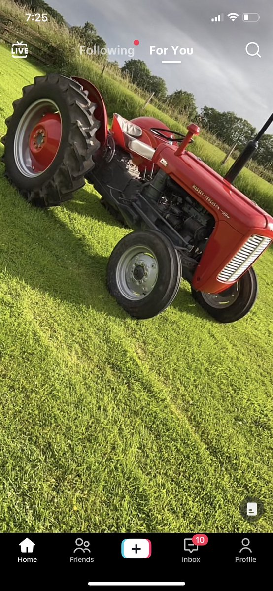 antoinette tweet media