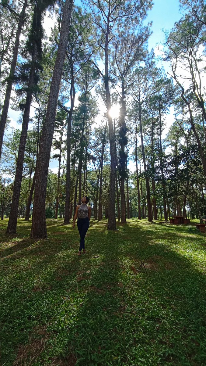 #DiaMundialDelÁrbol • Cuidemos la naturaleza, plantemos árboles 🌳🌲

#DinamiCuba #DeZurdaTeam
