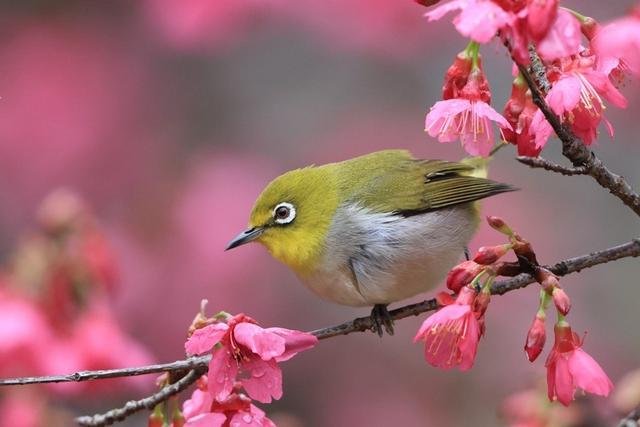 리니지M tweet media