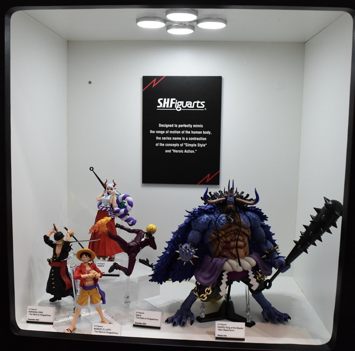 圖 SHF 四皇海道 + netflix真人版魯夫&索隆