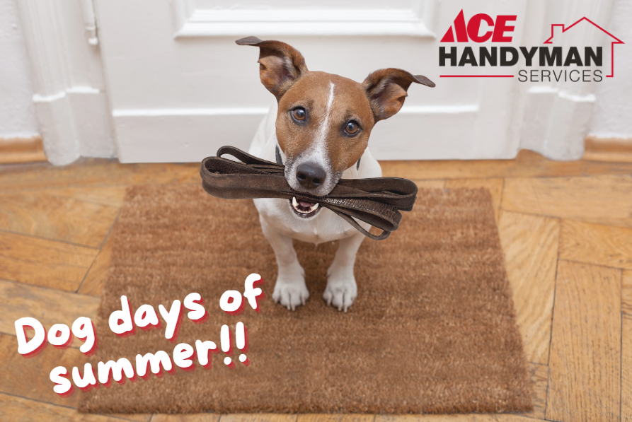 Does your dog want to go out by you're trying to stay cool? Let us install a dog door for you! We love doing projects for your little feline friends as well! #AceHandymanServices #AHS