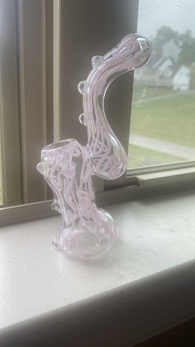 meowIbs's tweet photo. my bubbler came in early she’s so cute i’m crying 😭 https://t.co/qPbMw3J7X6