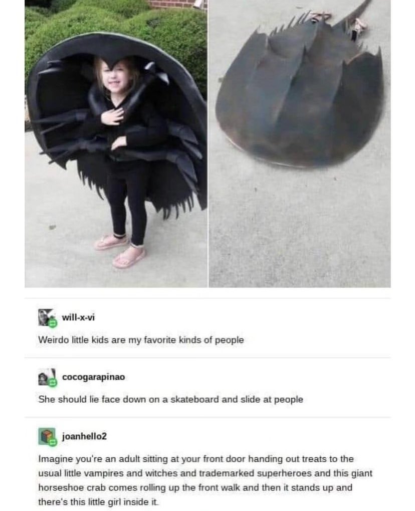 entomemeology's tweet photo. #limulidae #Limulus #LimulusPolyphemus #horseshoecrab #entomemeology #bugmemes https://t.co/sHxRCeEuZp