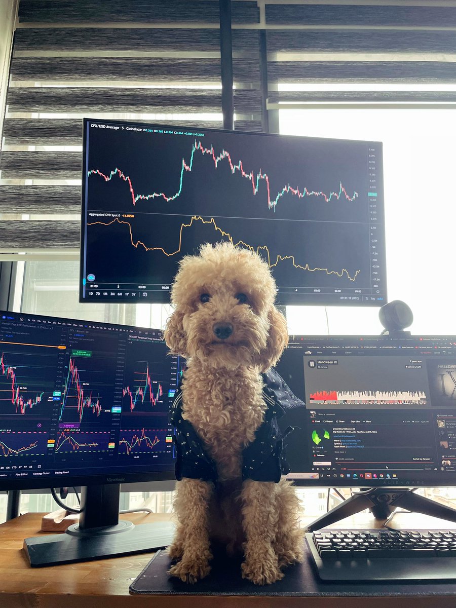 The woof of wall street