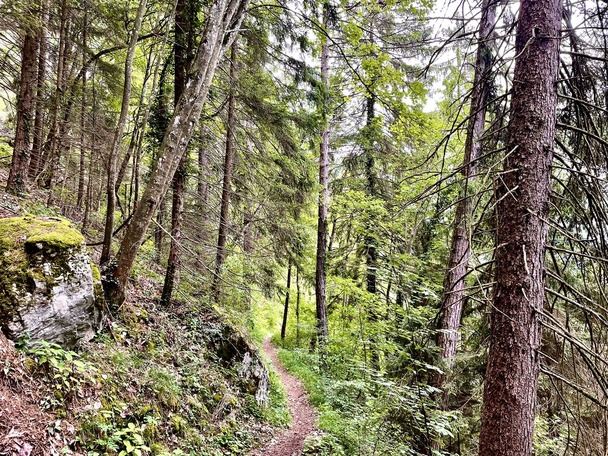 Pierre Chevillard tweet media