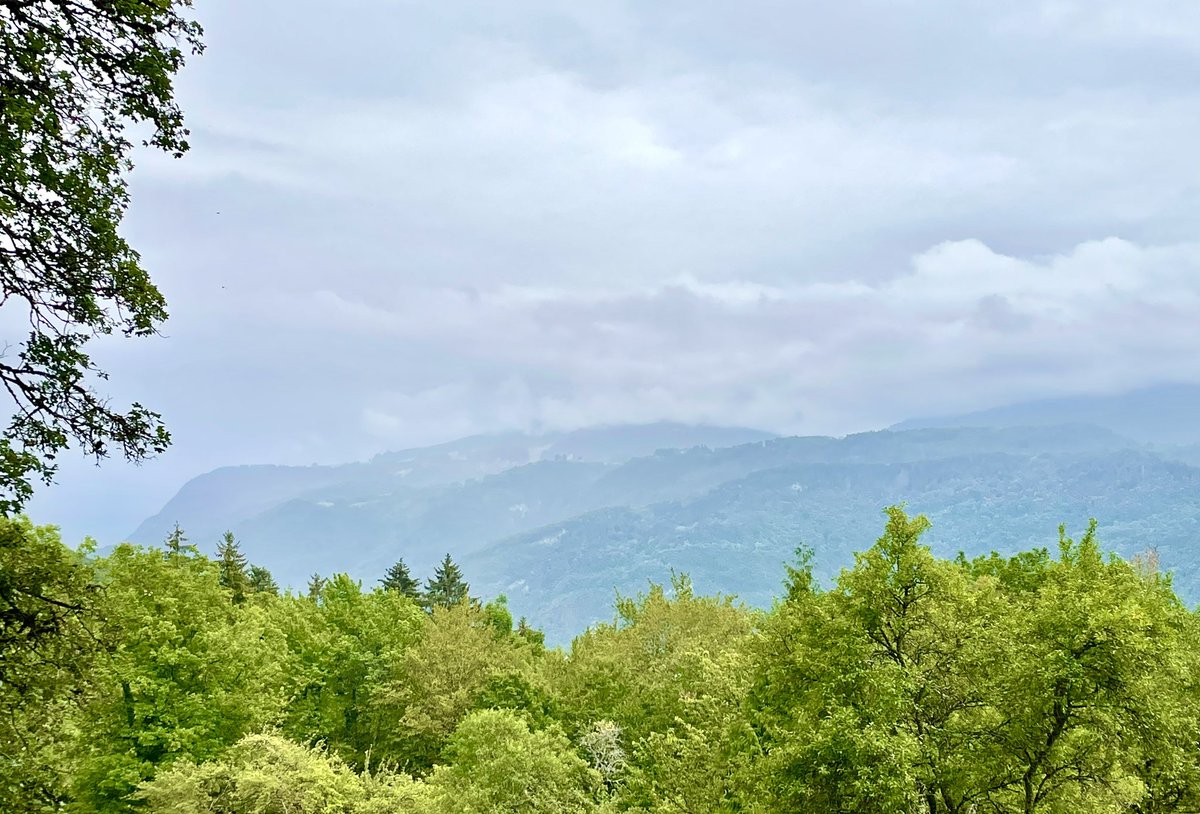 Pierre Chevillard tweet media