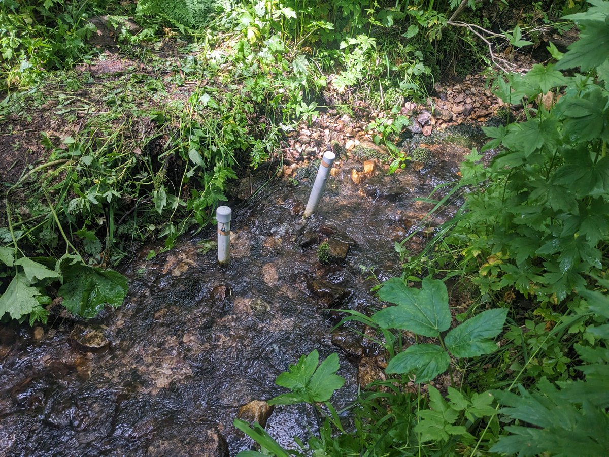 Major success for our Gibson Jack Super Synoptic! We sampled 50 sites for water chem, microbes, macros, and discharge in 3 days! #AIMS