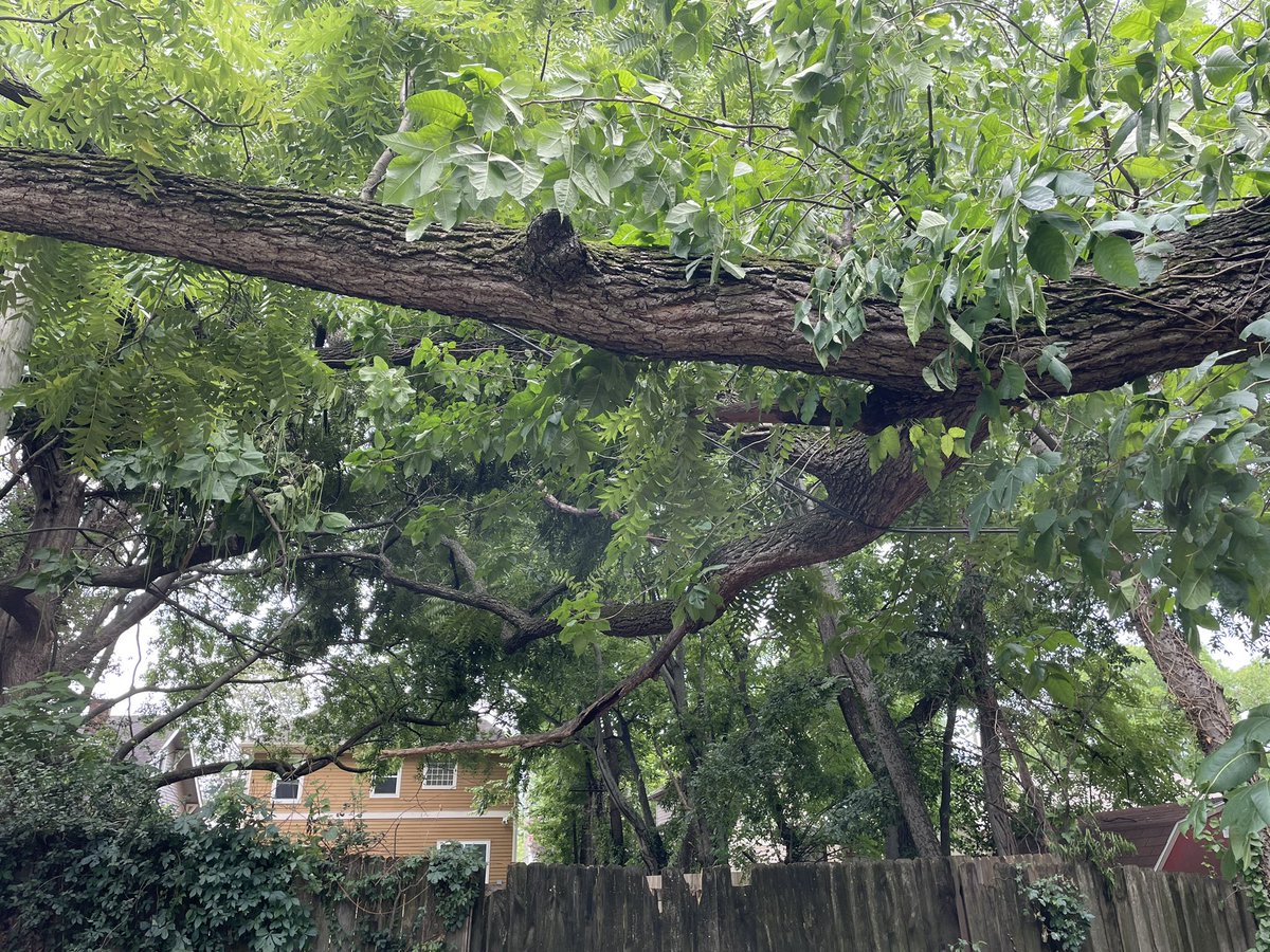 alexa hoffman tweet media