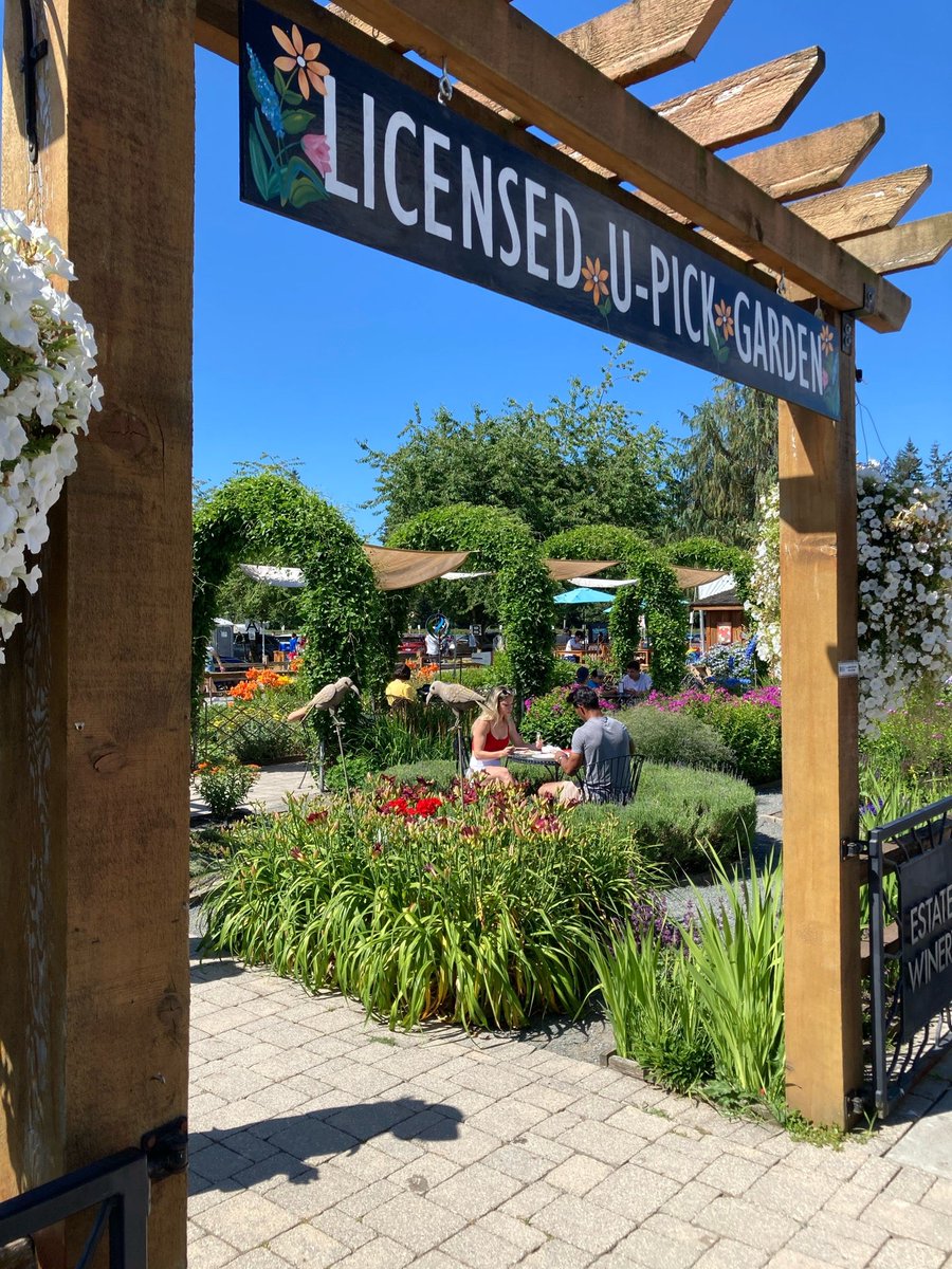 hy1281's tweet photo. Everything of berries. (@ Krause Berry Farms &amp; Estate Winery - @krauseberryfarm in Langley, BC) https://t.co/xeUDgT7Hsv https://t.co/s1NM2nbep7
