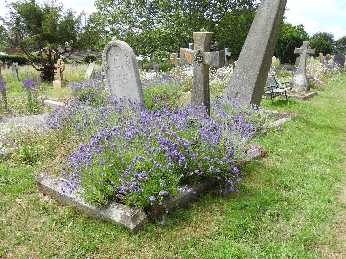 fotc2017's tweet photo. Planted graves in the lower cemetery #Teignmouth #cemetery #Victorian #summer https://t.co/oVo2R86k3T