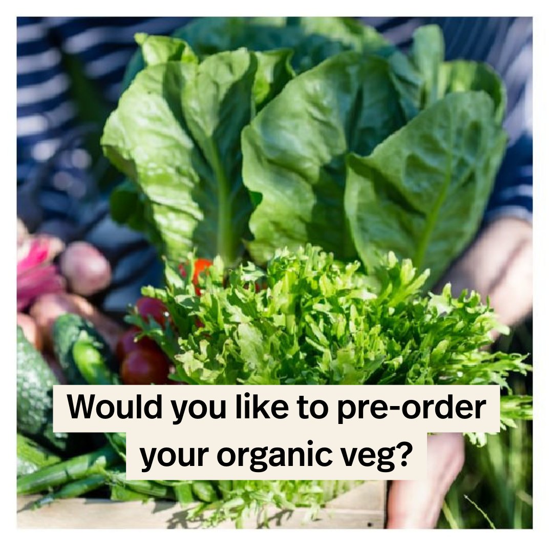 drumanilra's tweet photo. We would love to re-open our box scheme for organic veggies! If you would use this service, please give this post a thumbs up - it helps our planning to know how many people are interested! Drop a comment with your thoughts!
#vegboxes #weeklyveg #organicveg #sligo #leitrim https://t.co/xm20xkTcOb